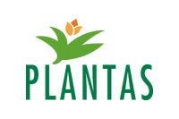Plantas