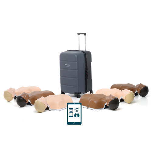 6 stk blandede lille anne træningsdukker til førstehjælp